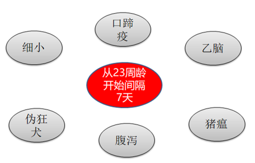 1584084732517637.png